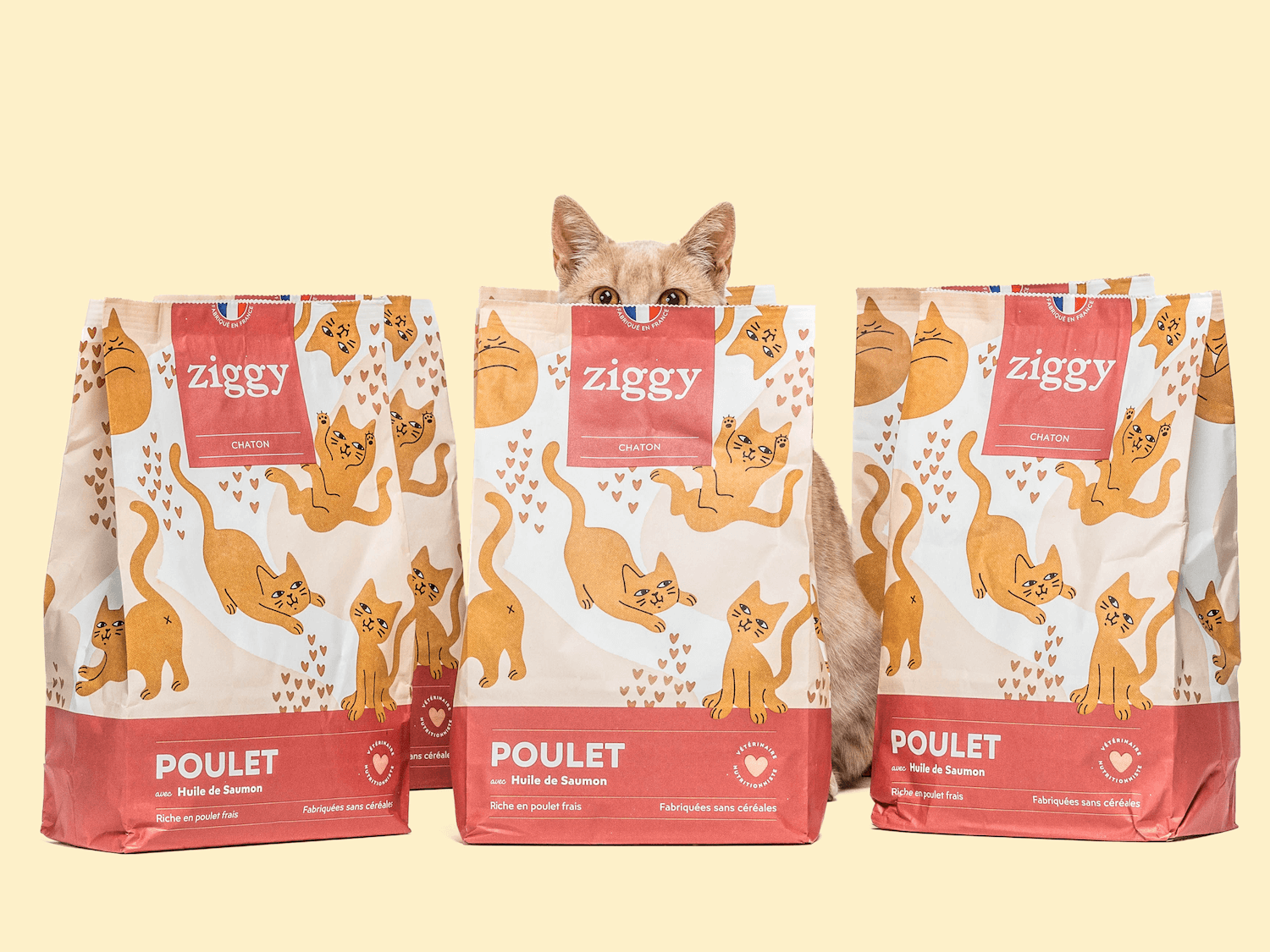 croquettes-pour-chaton-sans-c-r-ales-et-nutrition-quilibr-e-ziggy