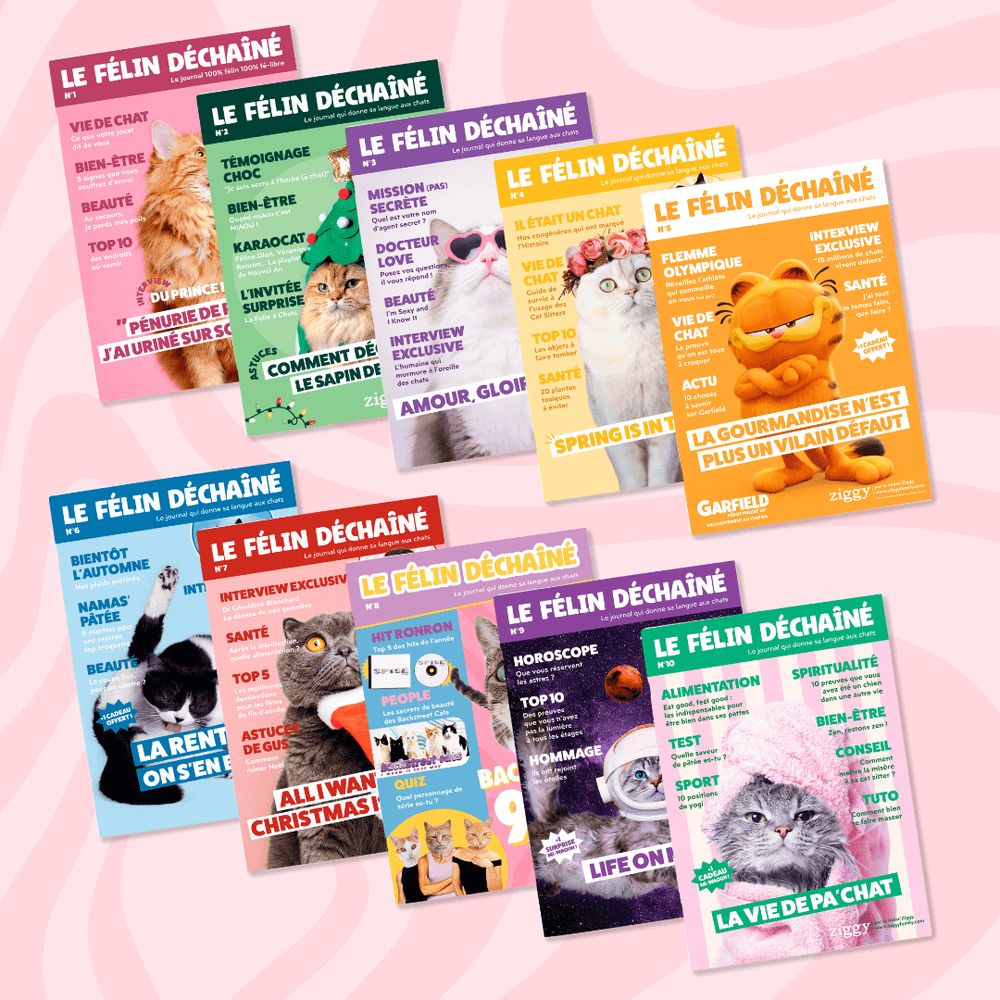 Couverture des 10 premiers magazines du Félin Déchaîné, le magazine rédigé par les chats, pour les chats de la Ziggy Family