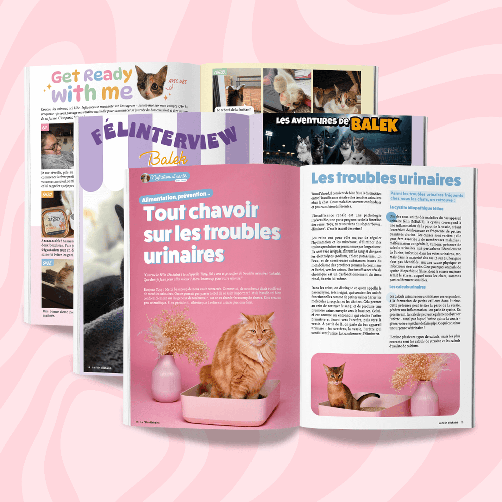 Couverture des 10 premiers magazines du Félin Déchaîné, le magazine rédigé par les chats, pour les chats de la Ziggy Family