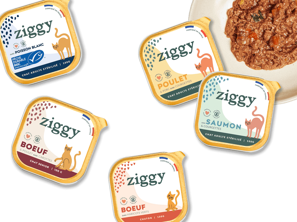 visuels de pâtées pour chat saines et sans céréales Ziggy