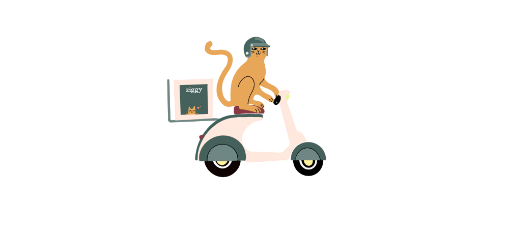 Illustration d'un chat en train de conduire un scooter pour livrer des croquettes et pâtées pour chat sans céréales Ziggy