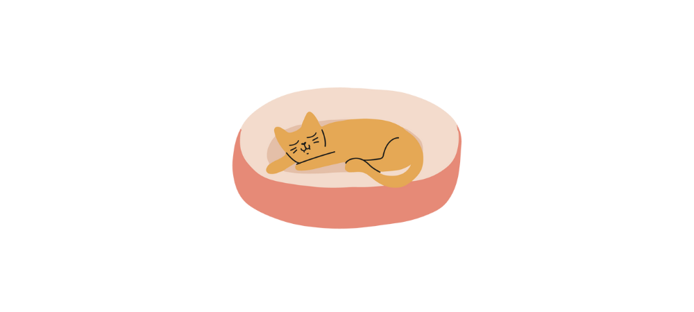 Illustration d'un chat en train de dormir dans son panier