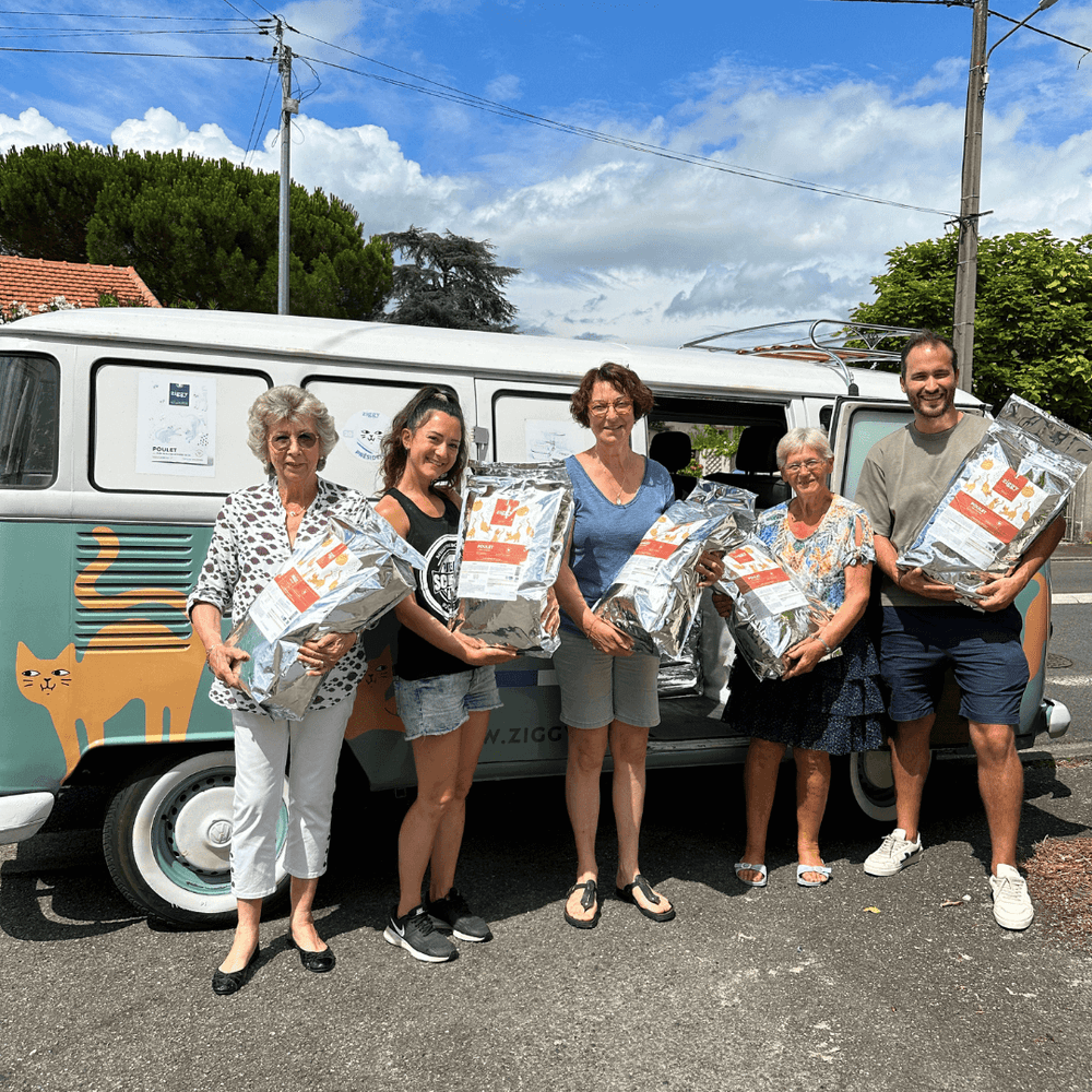 Photo du don à l'association Potron Minet de croquettes et pâtées pour chat et chaton Ziggy
