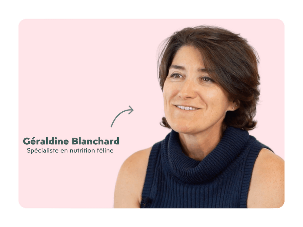 Dr Vétérinaire Géraldine Blanchard, experte en nutrition féline depuis plus de 30 ans