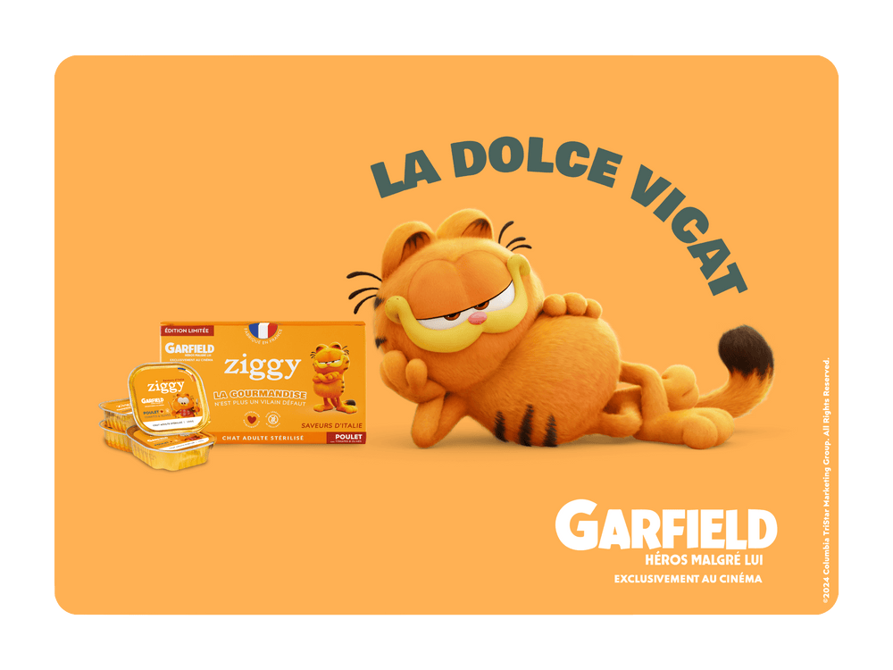 Garfield avec la pâtée pour chat adulte stérilisé Ziggy en édition limitée avec Garfield - 10 things to know about Garfield, our favorite ginger cat