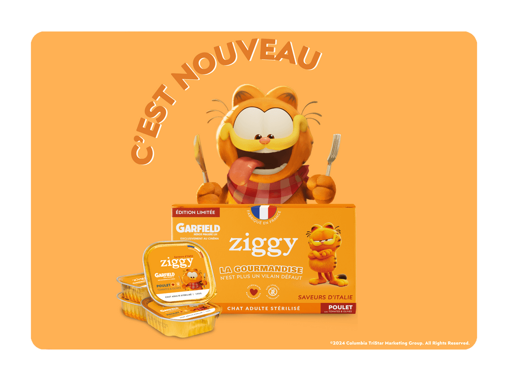 Garfield avec la pâtée pour chat adulte stérilisé Ziggy en édition limitée avec Garfield - 10 things to know about Garfield, our favorite ginger cat