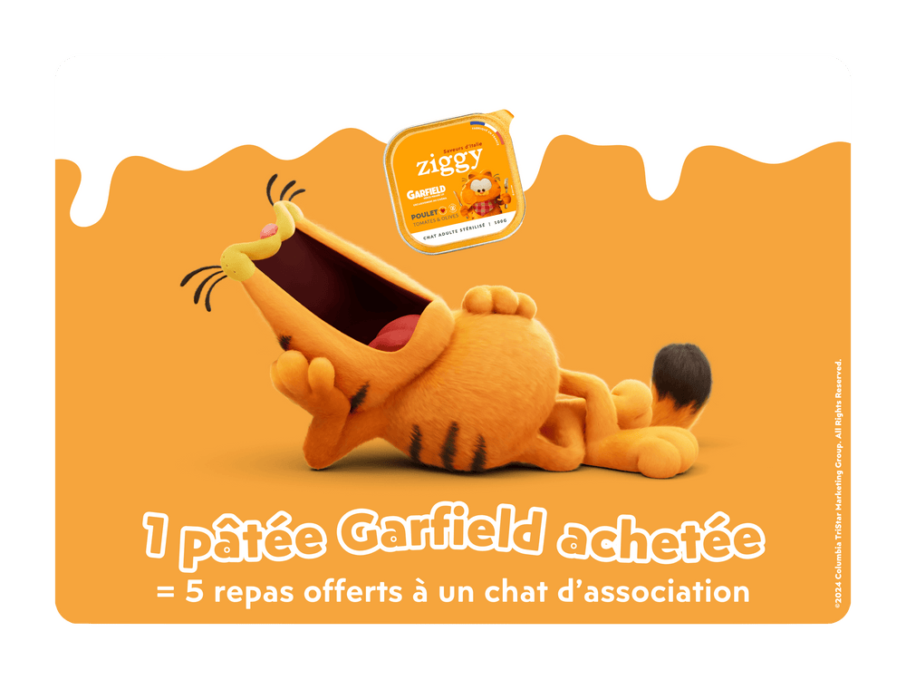 Garfield avec la pâtée pour chat adulte stérilisé Ziggy en édition limitée avec Garfield