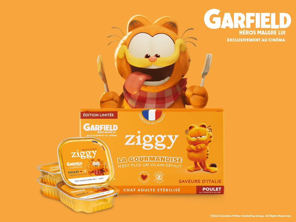 Garfield avec la pâtée pour chat adulte stérilisé Ziggy en édition limitée avec Garfield