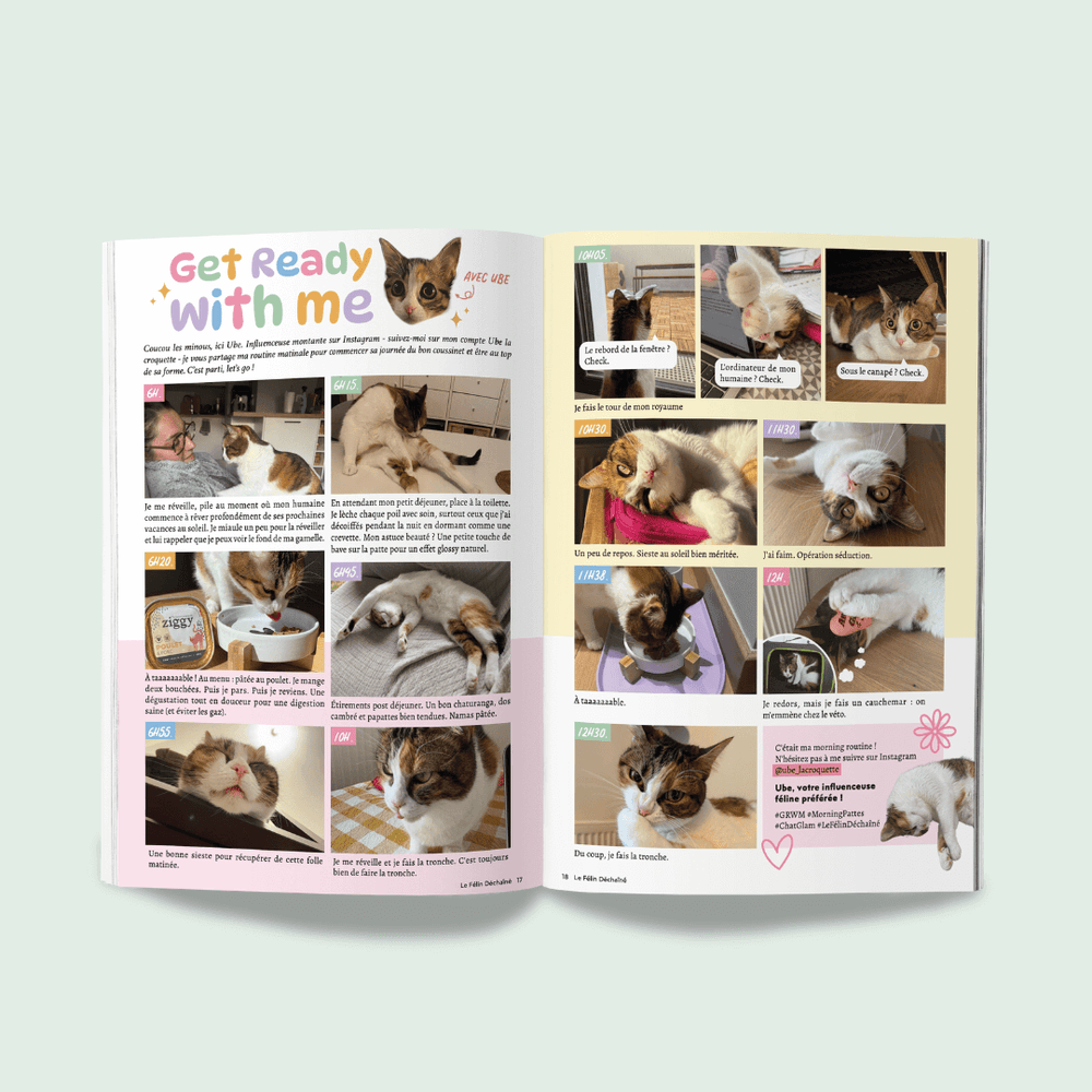 Couverture du magazine n°10 Ziggy pour les chats, le Félin Déchaîné