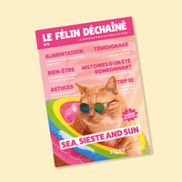 Couverture du magazine n°11 Ziggy pour les chats, le Félin Déchaîné