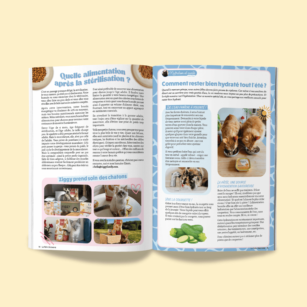 Couverture du magazine n°11 Ziggy pour les chats, le Félin Déchaîné