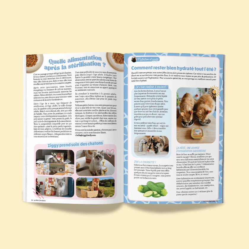 Page du magazine n°10 Ziggy pour les chats, le Félin Déchaîné