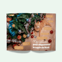 Page du magazine n°2 Ziggy pour les chats, le Félin Déchaîné