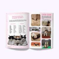 Page du magazine n°3 Ziggy pour les chats, le Félin Déchaîné