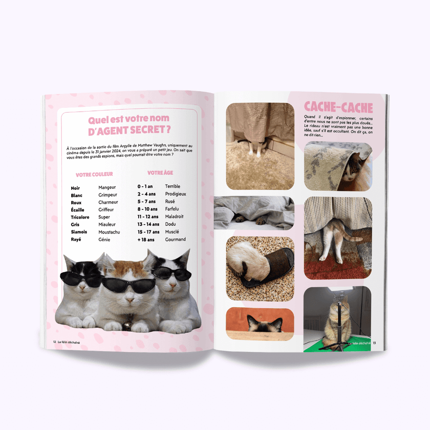 Page du magazine n°3 Ziggy pour les chats, le Félin Déchaîné