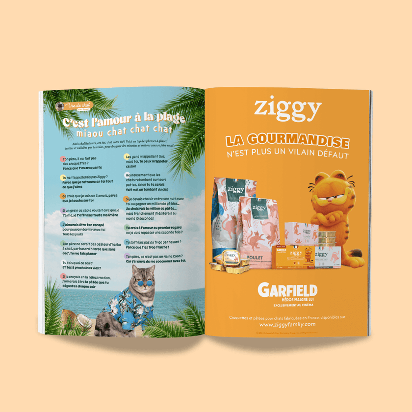 Page du magazine n°5 Ziggy pour les chats, le Félin Déchaîné