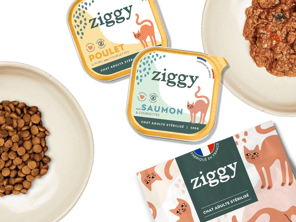 pâtées et croquettes pour chat saines et sans céréales à côté de gamelles