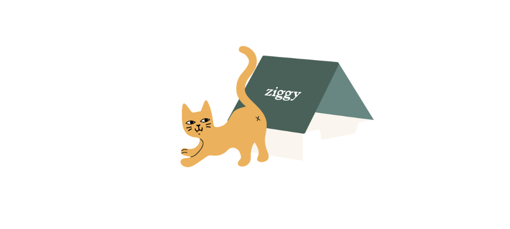 Illustration d'un chaton à côté d'un carton de la marque d'alimentation pour chats Ziggy