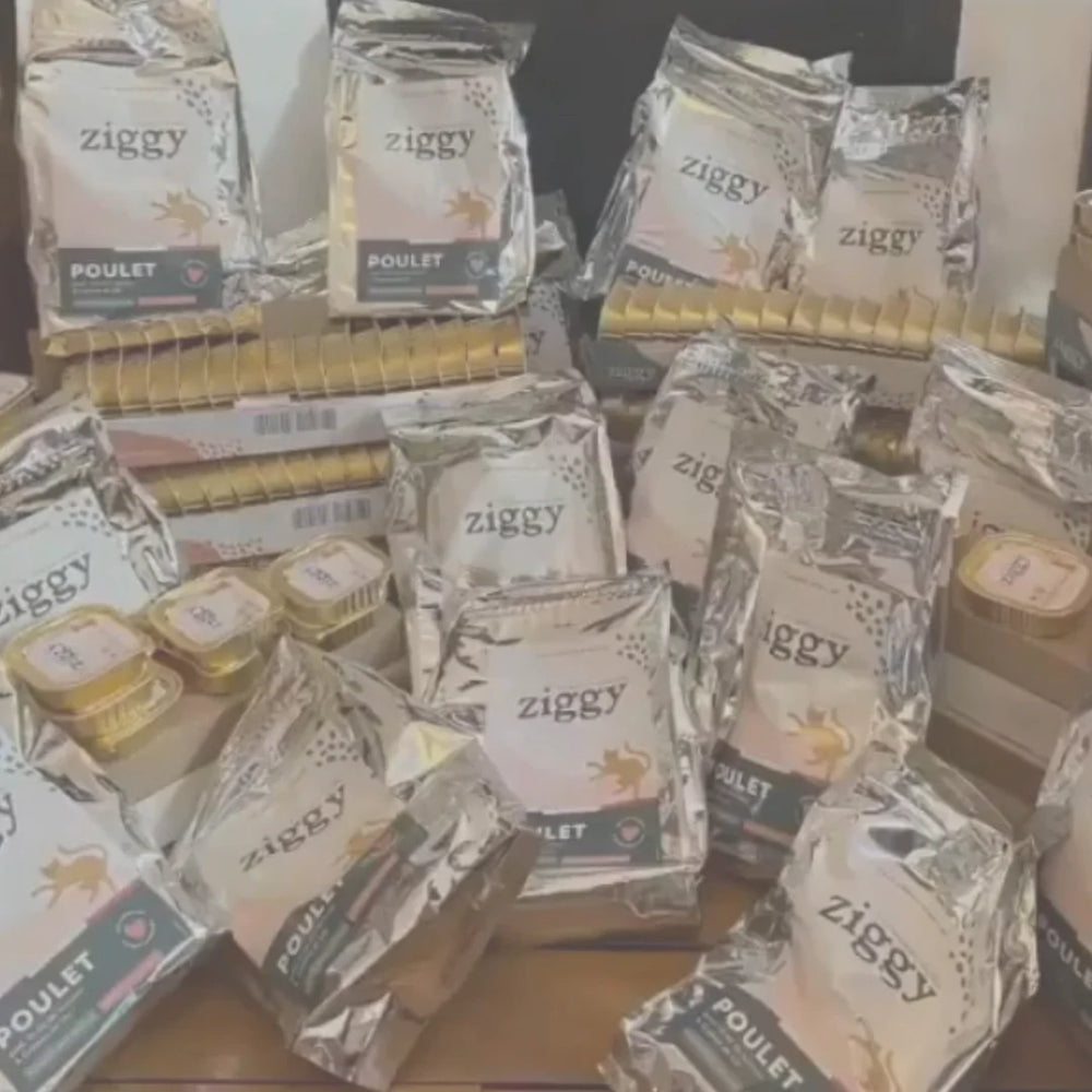 Croquettes et pâtées pour chat pour association