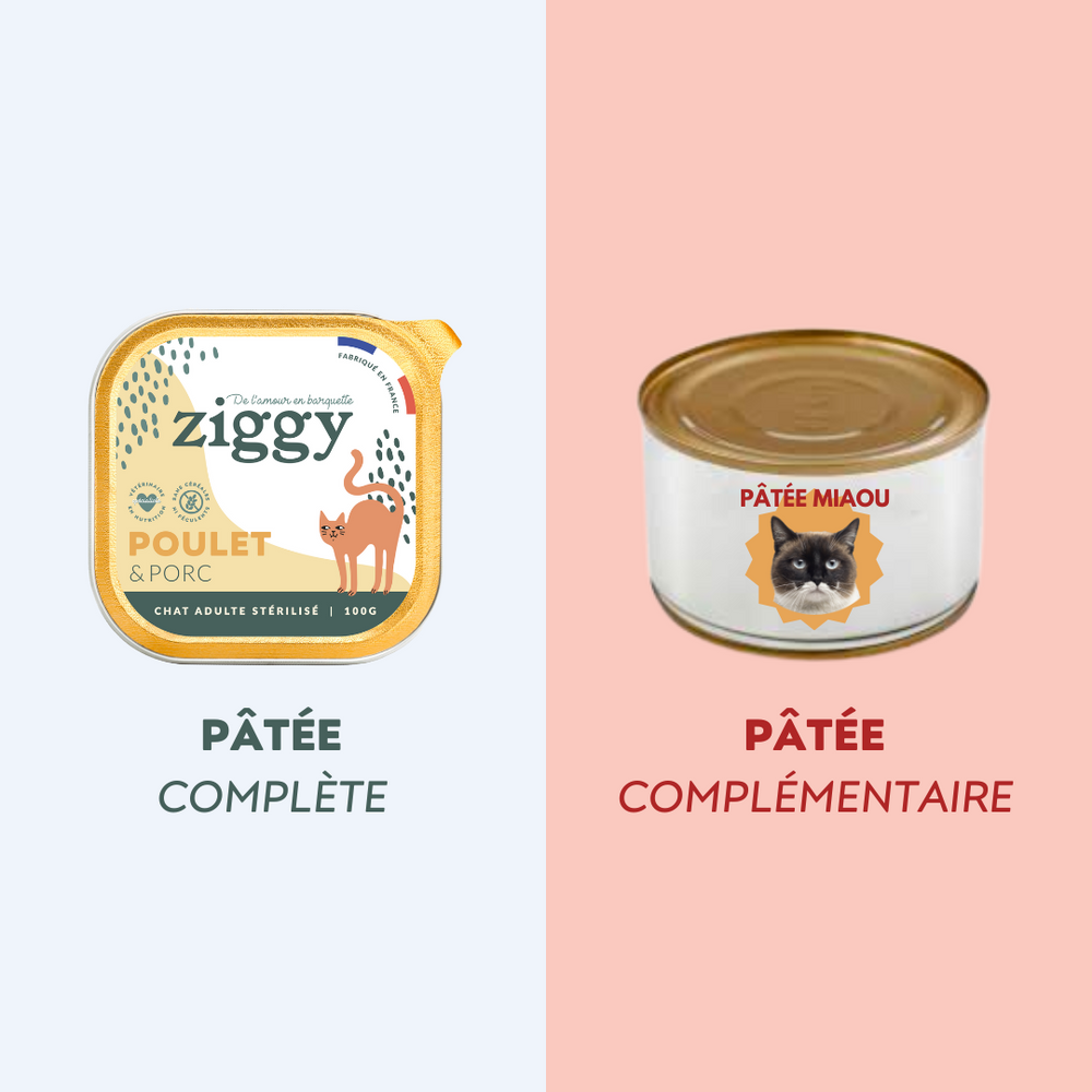 Différence entre pâtée complète et pâtée complémentaire - Obésité chez le chat : que faire et comment le faire maigrir ?