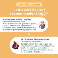 Avis vétérinaire de la pâtée pour chat adulte stérilisé au poulet, saines, à base d'ingrédients naturelles et sans amidon ou céréales