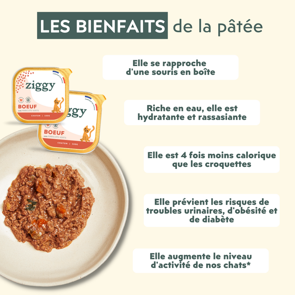 bienfaits de la pâtée pour chaton Ziggy saine et sans céréales - Quelle alimentation choisir pour un chaton de 2 à 12 mois ?