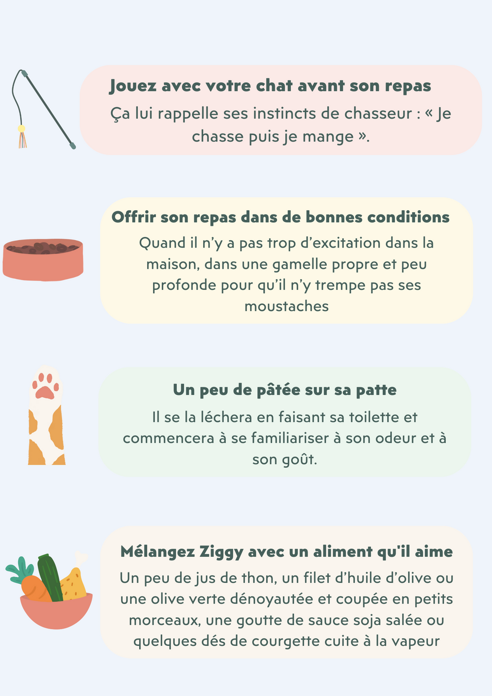 Astuces pendant la transition alimentaire chez le chat - Dietary transition in cats: How to change your cat's food ?