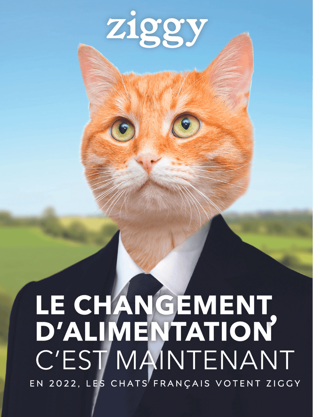 Affiche Ziggy le changement d'alimentation c'est maintenant de la campagne présidentielle