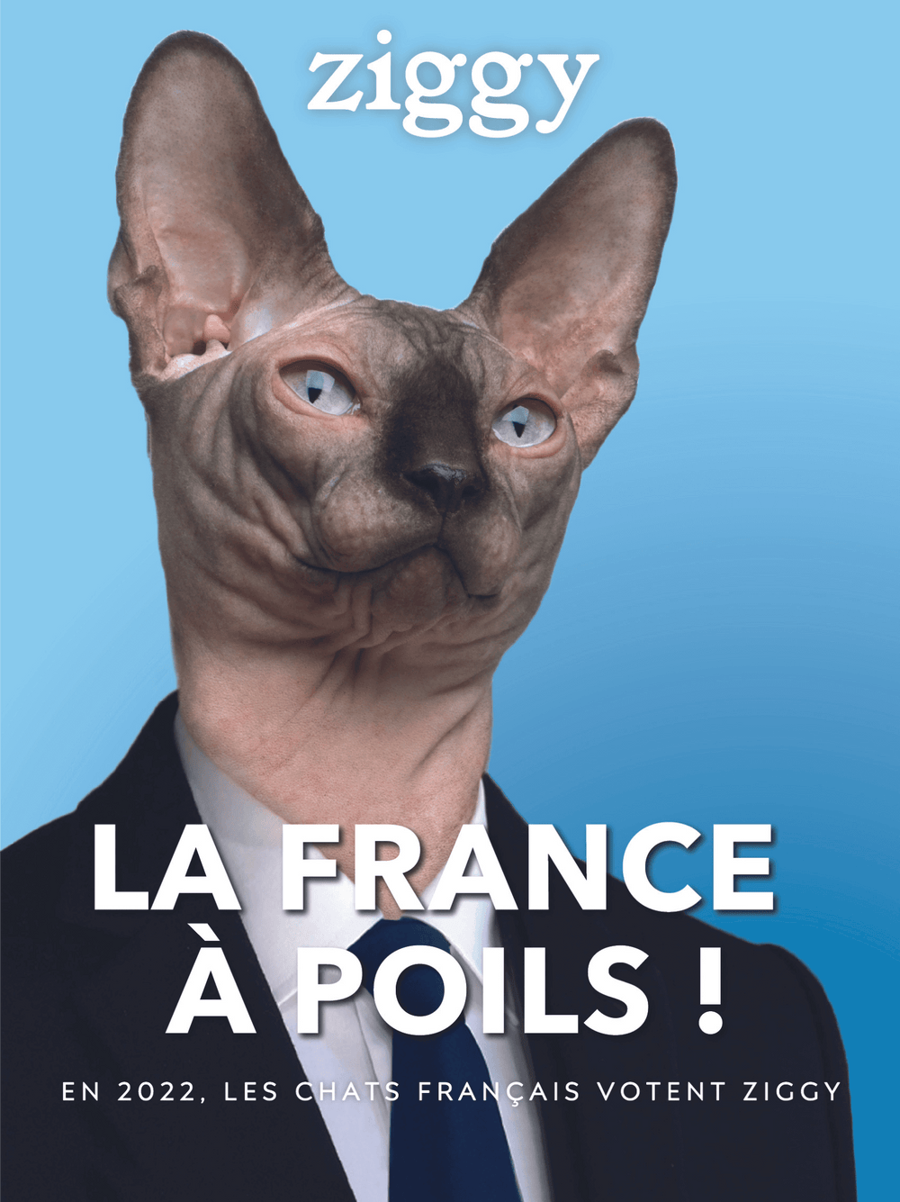 Affiche Ziggy la France à poils de la campagne présidentielle