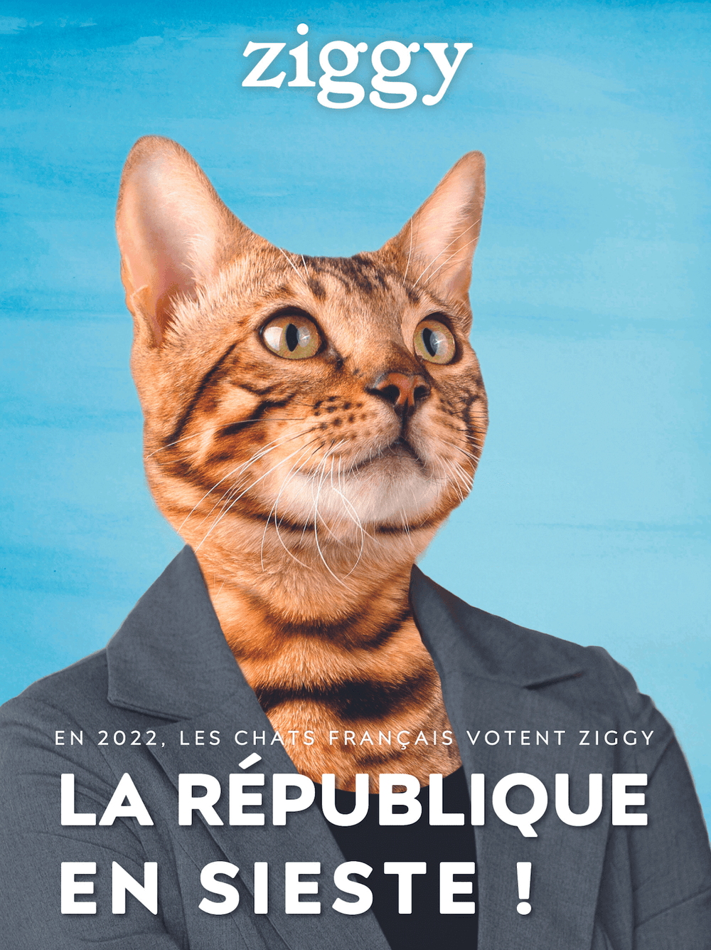 Affiche Ziggy la république en sieste de la campagne présidentielle