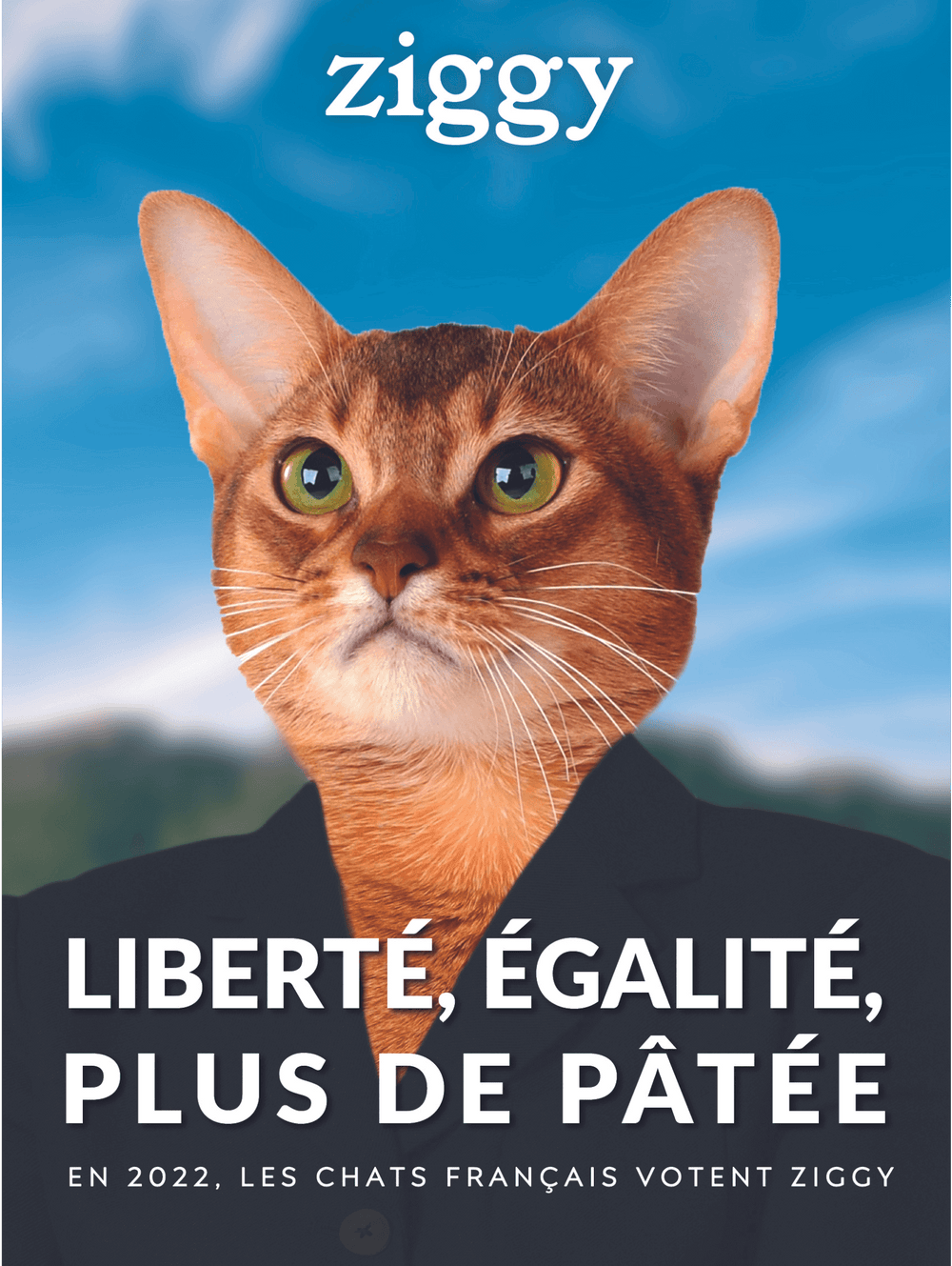 Affiche Ziggy liberté, égalité, plus de pâtée de la campagne présidentielle