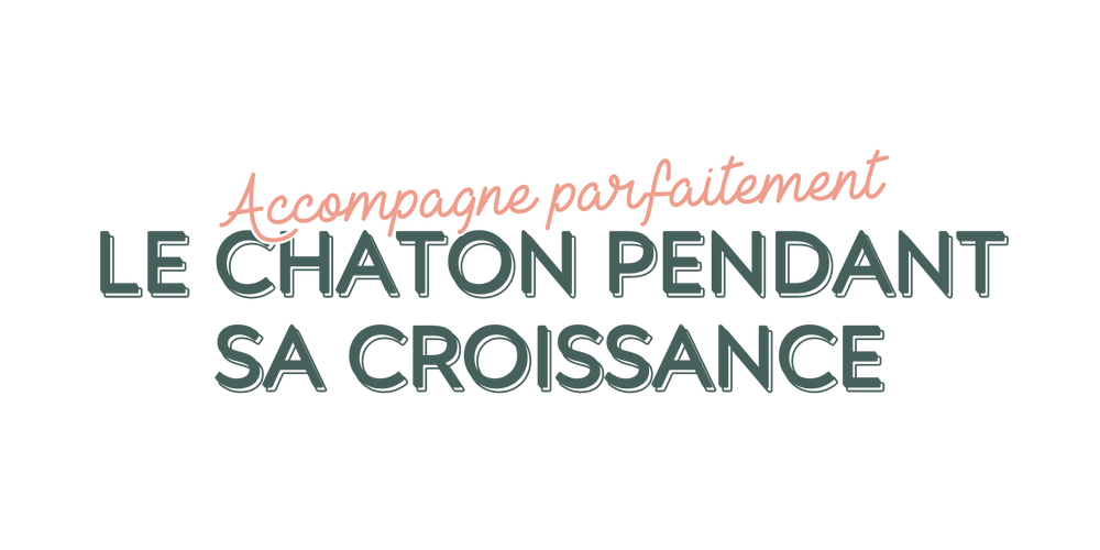 Pâtée qui accompagnement parfaitement le chaton pendant sa croissance Ziggy