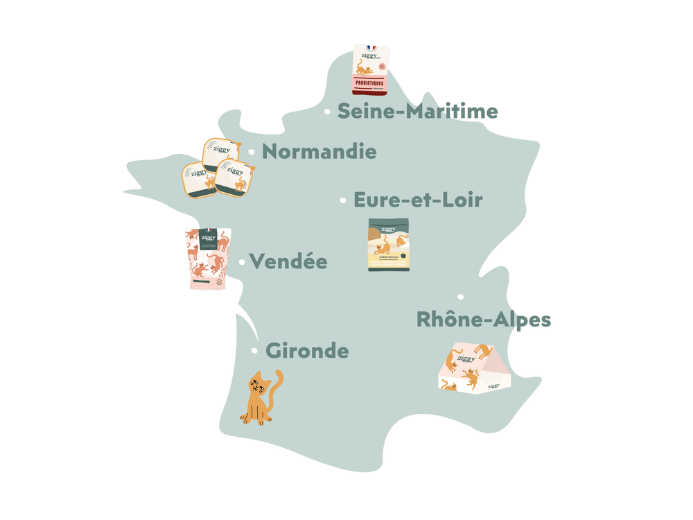 Carte de France d'où sont fabriqués les produits pour chats et chatons Ziggy