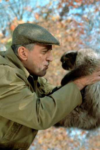 Le Chat La Guigne dans Mon Beau Père et Moi - Cinéma : nos 10 chats préférés du grand écran