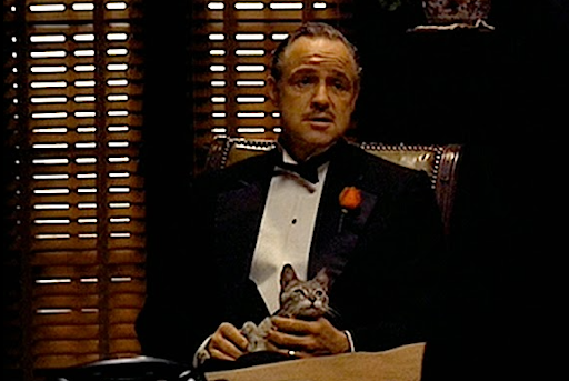 Chat sur les genoux dans le film Le Parrain - Cinéma : nos 10 chats préférés du grand écran