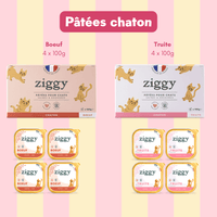 Coffret découverte chaton