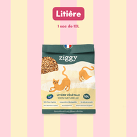 Coffret découverte chaton