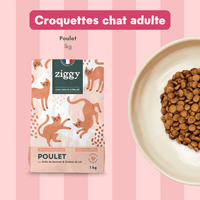 Composition du coffret chat senior : croquettes