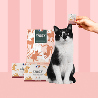 Composition du coffret chat senior