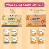 Composition du coffret découverte pour chat adulte stérilisé Ziggy comprenant des croquettes et pâtées pour chat adulte stérilisé ainsi que des probiotiques pour chat