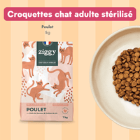 Composition du coffret découverte pour chat adulte stérilisé Ziggy comprenant des croquettes et pâtées pour chat adulte stérilisé ainsi que des probiotiques pour chat