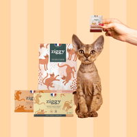 Composition du coffret découverte pour chat adulte stérilisé Ziggy comprenant des croquettes et pâtées pour chat adulte stérilisé ainsi que des probiotiques pour chat