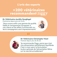 Composition du coffret découverte pour chat adulte stérilisé Ziggy comprenant des croquettes et pâtées pour chat adulte stérilisé ainsi que des probiotiques pour chat