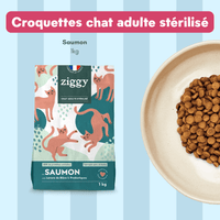 Composition du coffret découverte pour chat adulte stérilisé Ziggy comprenant des croquettes et pâtées pour chat adulte stérilisé ainsi que des probiotiques pour chat