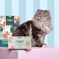 Composition du coffret découverte pour chat adulte stérilisé Ziggy comprenant des croquettes et pâtées pour chat adulte stérilisé ainsi que des probiotiques pour chat