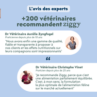 Composition du coffret découverte pour chat adulte stérilisé Ziggy comprenant des croquettes et pâtées pour chat adulte stérilisé ainsi que des probiotiques pour chat