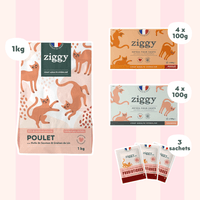Composition du coffret découverte pour chat adulte stérilisé Ziggy comprenant des croquettes et pâtées pour chat adulte stérilisé ainsi que des probiotiques pour chat