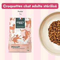 Composition du coffret découverte pour chat adulte stérilisé Ziggy comprenant des croquettes et pâtées pour chat adulte stérilisé ainsi que des probiotiques pour chat