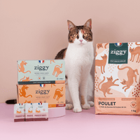 Composition du coffret découverte pour chat adulte stérilisé Ziggy comprenant des croquettes et pâtées pour chat adulte stérilisé ainsi que des probiotiques pour chat