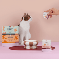 Composition du coffret découverte pour chat adulte stérilisé Ziggy comprenant des croquettes et pâtées pour chat adulte stérilisé ainsi que des probiotiques pour chat